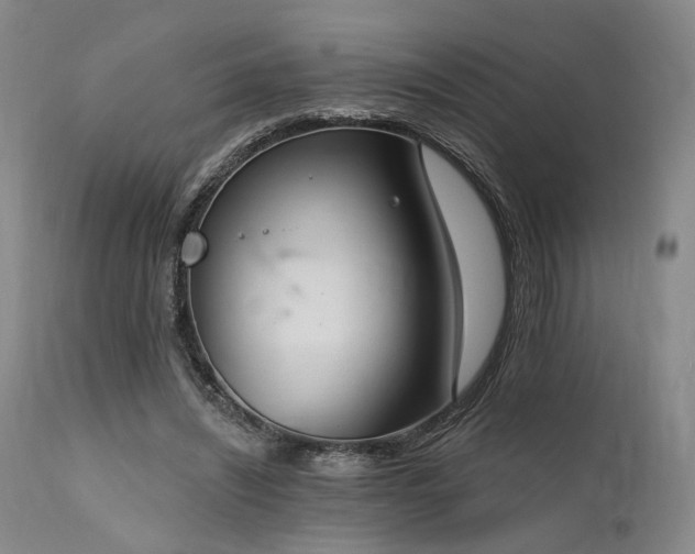 X0000112020444200908031401