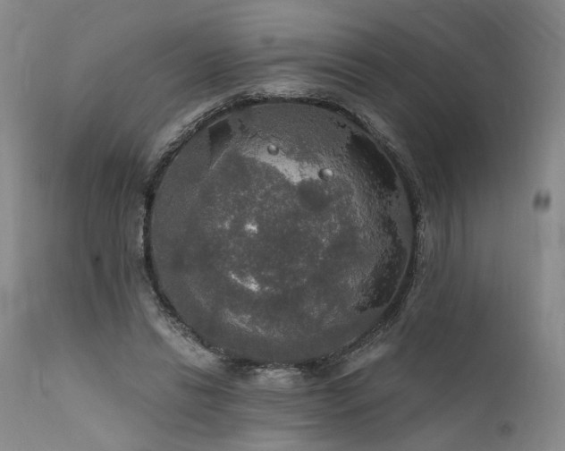 X0000112020446200908031401