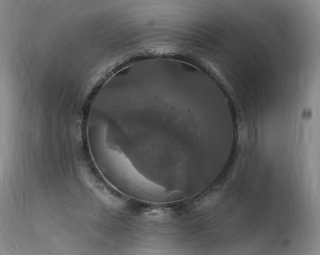 X0000112020447200908031401