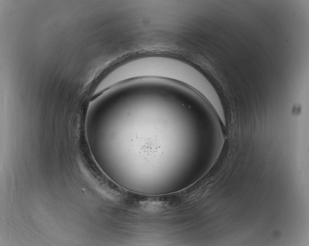 X0000112020448200908031401