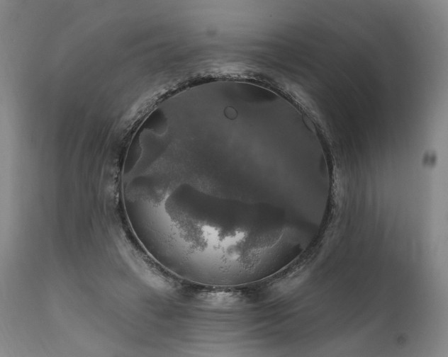 X0000112020449200908031401