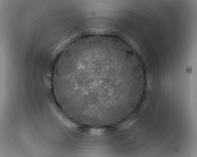 X0000112020450200908031401