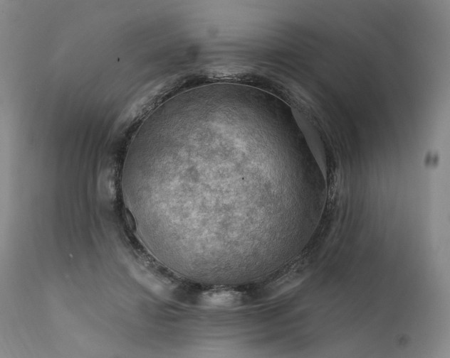 X0000112020452200908031401