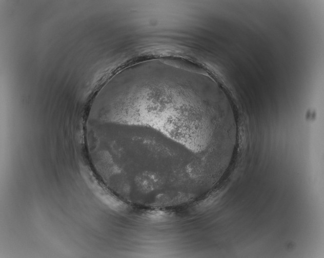 X0000112020453200908031401