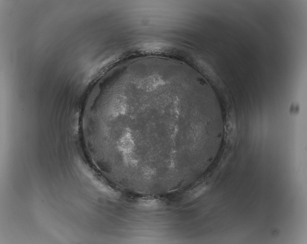 X0000112020454200908031401