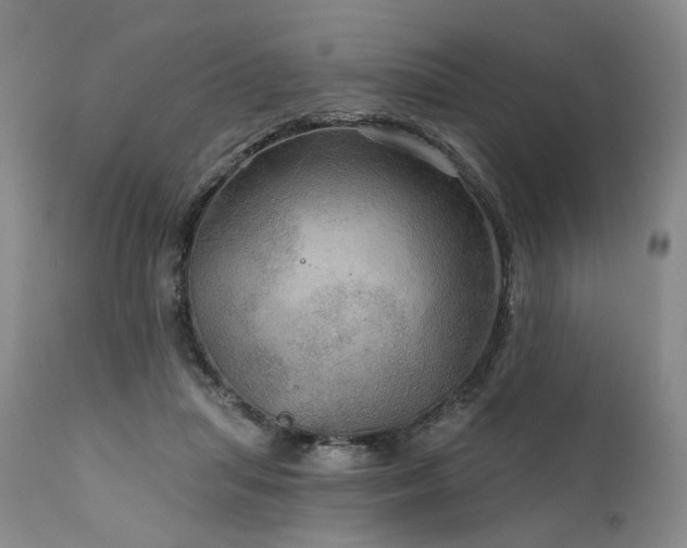 X0000112020455200908031401