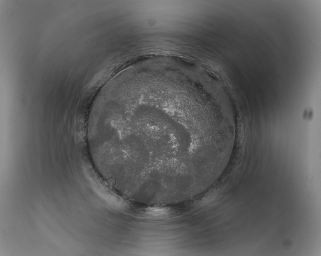 X0000112020457200908031401