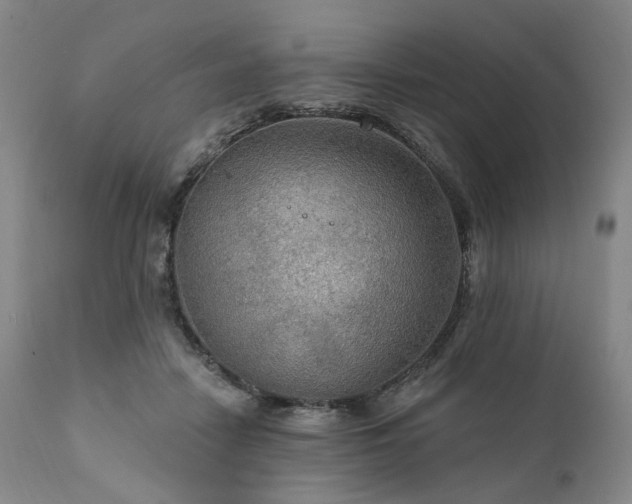 X0000112020458200908031401