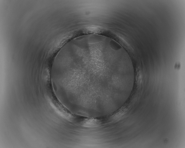 X0000112020459200908031401