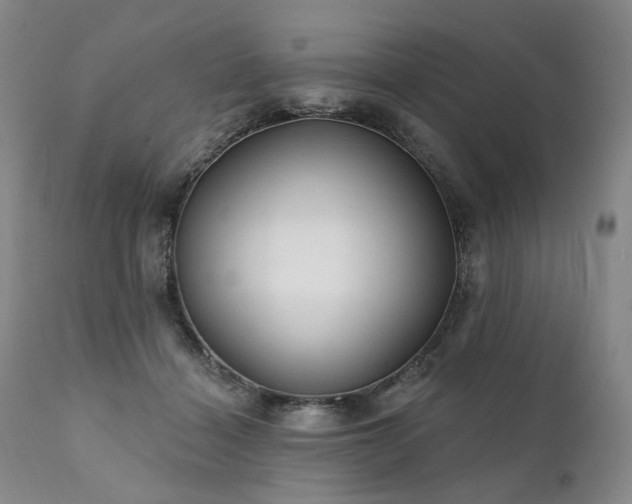 X0000112020460200908031401