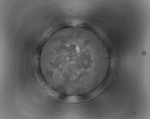 X0000112020461200908031401