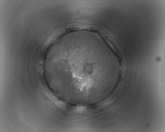 X0000112020462200908031401