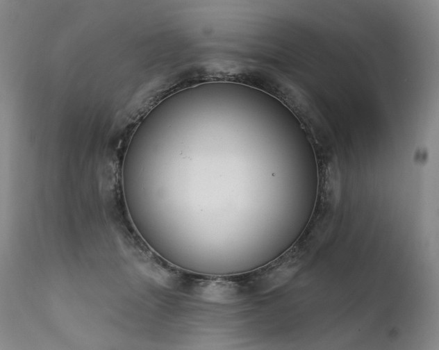 X0000112020463200908031401