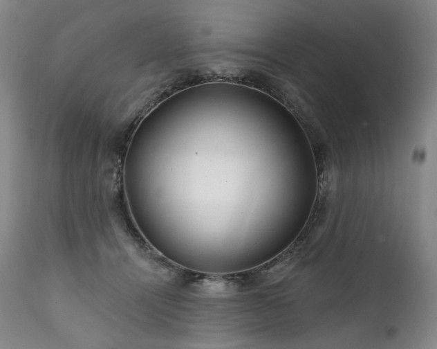 X0000112020464200908031402