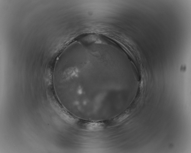 X0000112020465200908031402