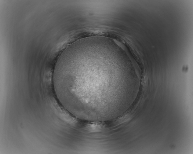 X0000112020466200908031402