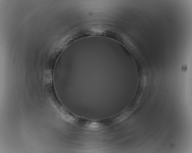 X0000112020467200908031402