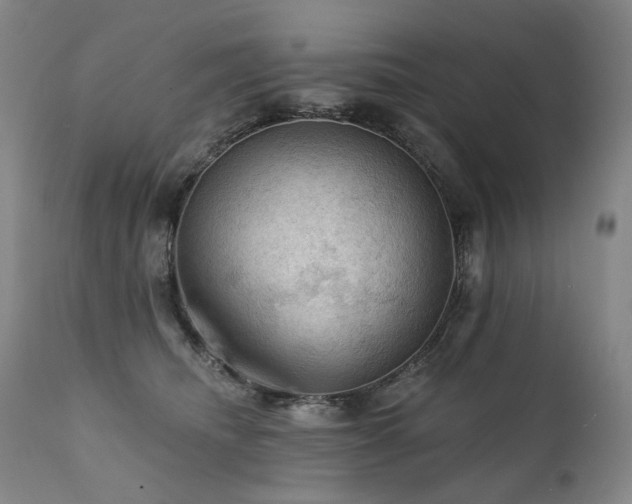 X0000112020468200908031402