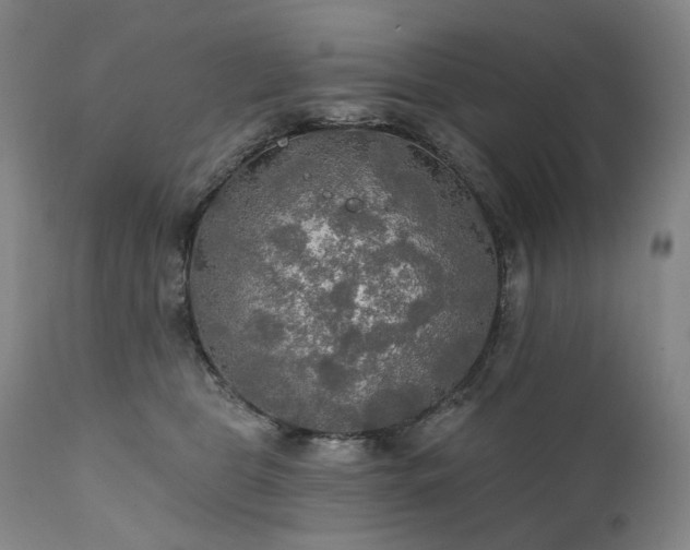 X0000112020469200908031402