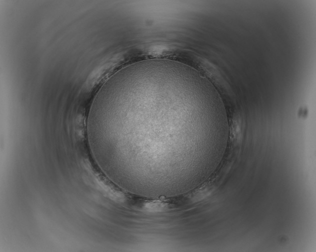 X0000112020470200908031402