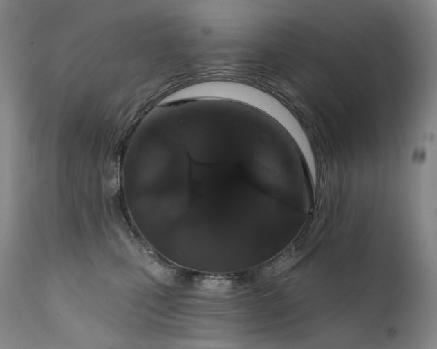 X0000112020471200908031402