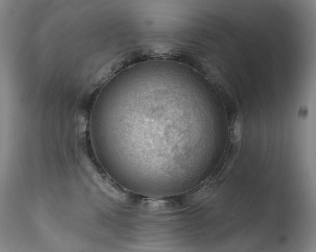 X0000112020472200908031402