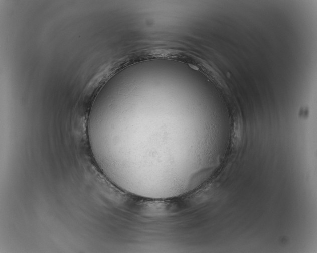 X0000112020473200908031402