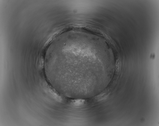 X0000112020474200908031402