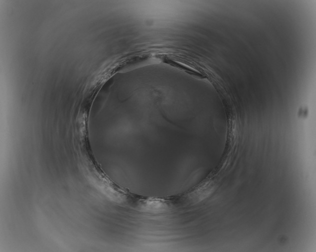 X0000112020475200908031402