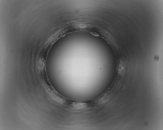 X0000112020476200908031402