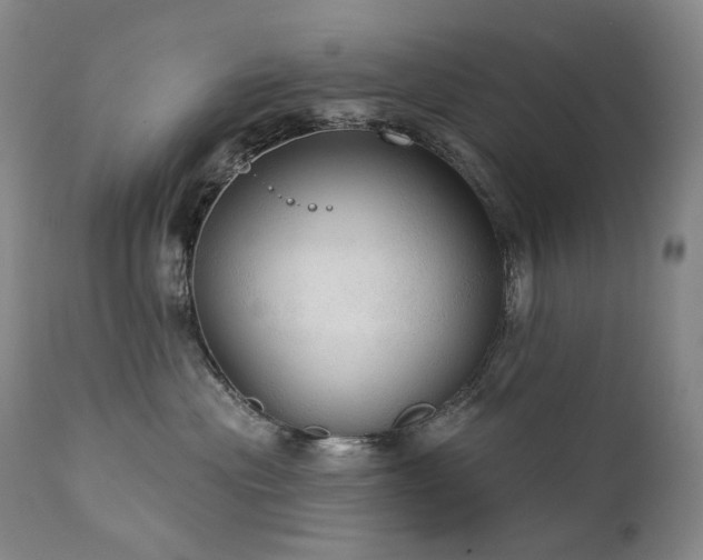 X0000112020477200908031402