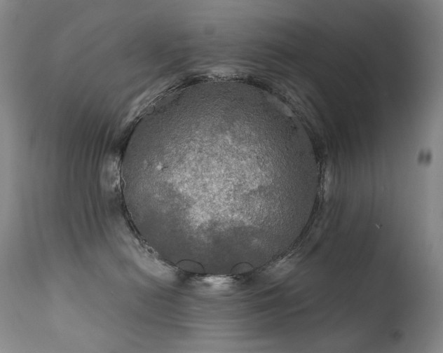 X0000112020478200908031402