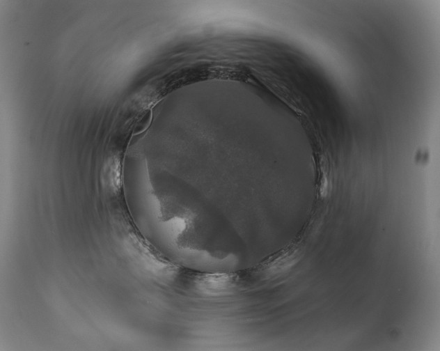 X0000112020479200908031402