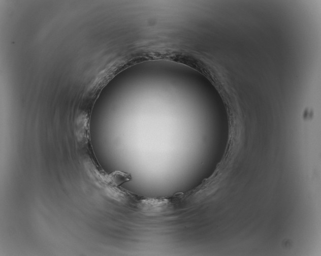 X0000112020480200908031402