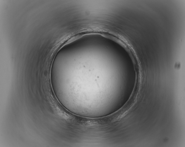 X0000112020481200908031401