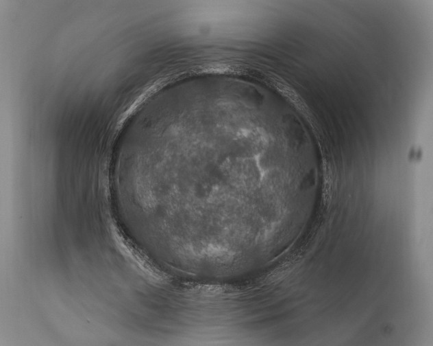 X0000112020482200908031401