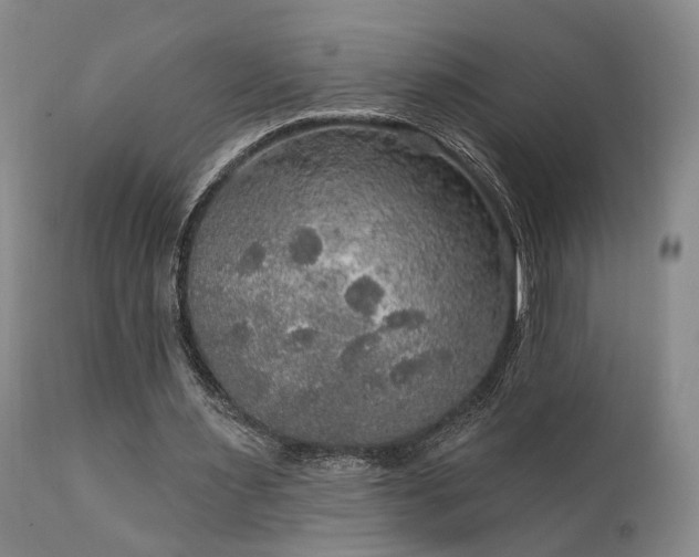 X0000112020483200908031401