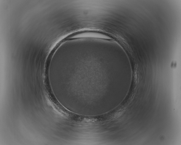 X0000112020484200908031401