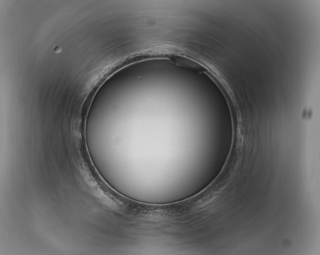 X0000112020485200908031401