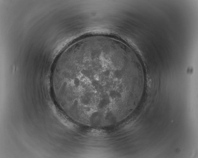 X0000112020487200908031401