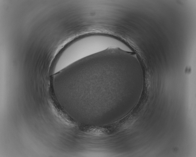 X0000112020488200908031401