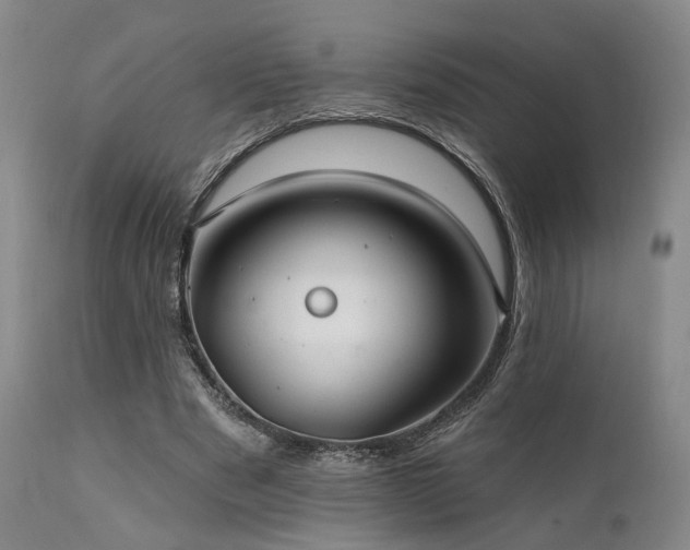 X0000112020489200908031401