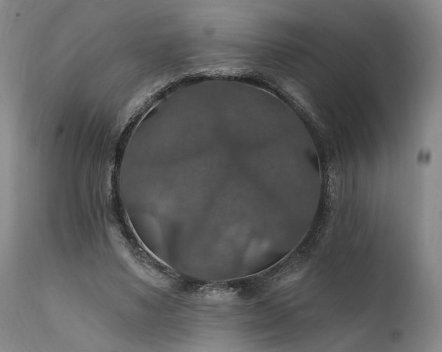 X0000112020491200908031401