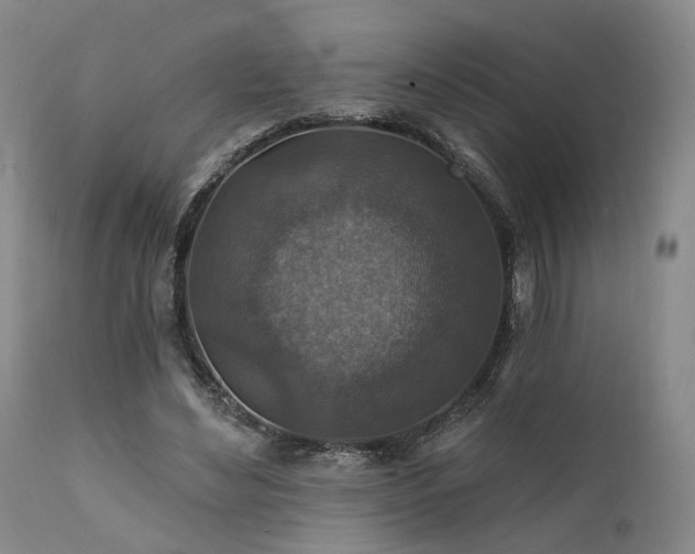 X0000112020492200908031401