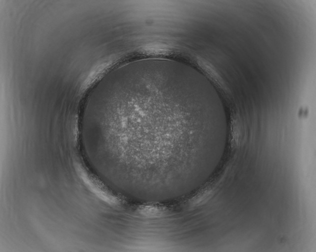 X0000112020494200908031401