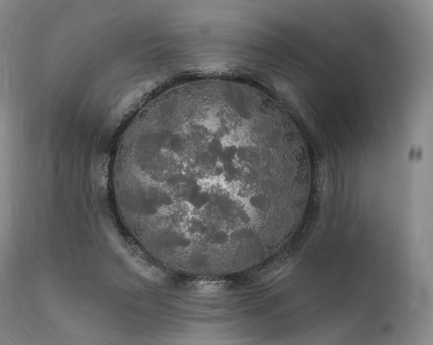 X0000112020495200908031401