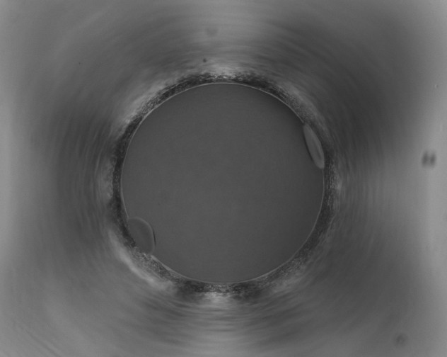 X0000112020496200908031401