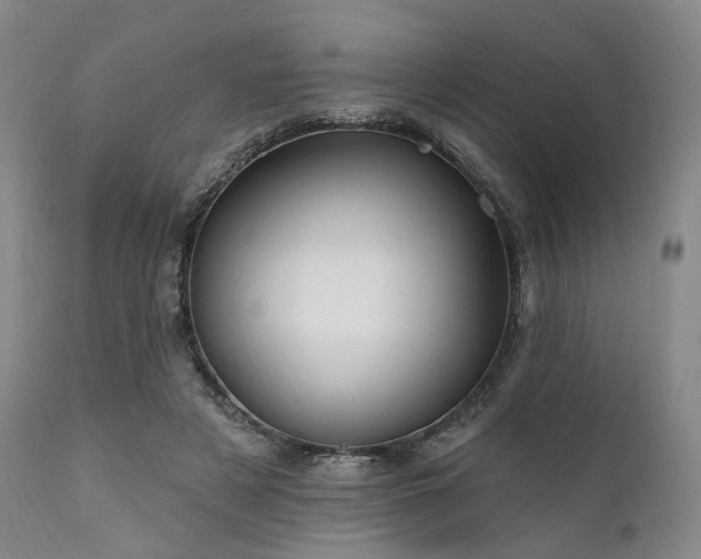 X0000112020497200908031401