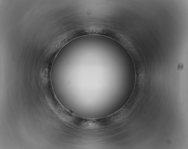 X0000112020498200908031401