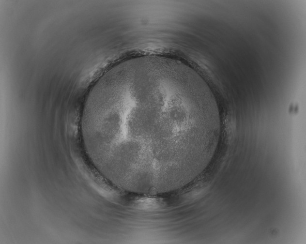 X0000112020499200908031401